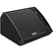 SubZero Aktiver 12"-Bodenmonitor 230 W