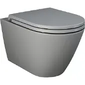 RAK ceramics RAK Feeling WC RST23503A, spülrandlos wandhängend, grau matt