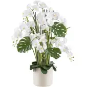 Creativ Green Kunstorchidee "Orchidee Phalaenopsis", beige (creme), H:120cm, Kunststoff, Kunstpflanzen, Kunstorchidee, mit Gräsern und Splitphilo-Blättern