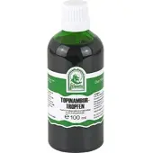 Hecht-Pharma Gmbh Topinambur Gph Tropfen 100 ML