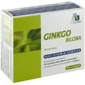 Avitale Ginkgo 100mg Kaps + B1 C+e 192 ST