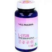 Hecht-Pharma Gmbh L-lysin 500 mg vegan Gph Kapseln