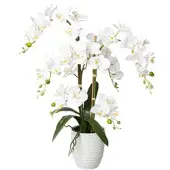 P&b Kunstpflanze Orchideen Weiß