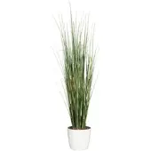 P&b Kunstpflanze Equisetum Gras ca. 155cm