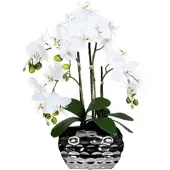 P&b Kunstpflanze Orchideen Grün ca. 55cm