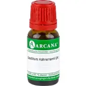 Arcana Causticum Hahnemanni Lm 1 10 ML