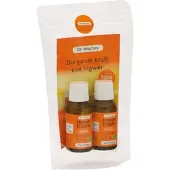 Dr. Muche GmbH Ingwertropfen Dr Muches 2X 40 ML