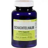 Hecht-Pharma Gmbh Schachtelhalm-Kapseln 120 ST