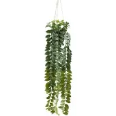 Momax Kunstpflanze Columnea II Grün