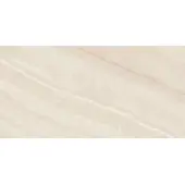 Rako Onyx Wandfliese dunkelbeige 30x60 cm glanz WAKVK835.1
