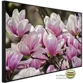 Papermoon Infrarotheizung »EcoHeat - Magnolienblumen«, Matt-Effekt - bunt