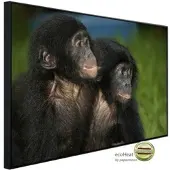 Papermoon Infrarotheizung »EcoHeat - Baby Bonobos«, Matt-Effekt - bunt