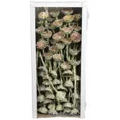 Flowerbox Trockenblumen - blau