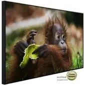 Papermoon Infrarotheizung »EcoHeat - Baby Orang-Utan«, Matt-Effekt - bunt