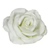 Flowerbox Wachsrose 12er-Set - weiss