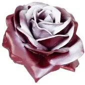 Flowerbox Wachsrose 12er-Set - weiss