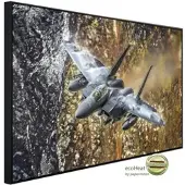 Papermoon Infrarotheizung »EcoHeat - F15 Strike Eagle Fighter«, Matt-Effekt - bunt