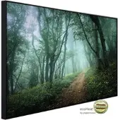 Papermoon Infrarotheizung »EcoHeat - Nebelwald im Nebel«, Matt-Effekt - bunt