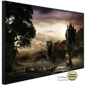 Papermoon Infrarotheizung »EcoHeat - Mystery Lake und Castle«, Matt-Effekt - bunt