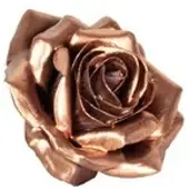 Flowerbox Wachsrose 12er-Set - beige