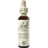 Nelsons Bach-Blüte Impatiens 20 ML