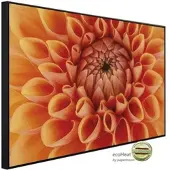 Papermoon Infrarotheizung »EcoHeat - Blume«, Matt-Effekt - bunt