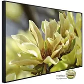 Papermoon Infrarotheizung »EcoHeat - Schmetterlinge Magnolie«, Matt-Effekt - bunt