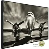 Papermoon Infrarotheizung »EcoHeat - Flugzeug Schwarz + Weiss«, Matt-Effekt - bunt