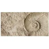 MySPOTTI Badrückwand »Fossil«, BxH:90 cm x 45 cm, beige