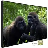 Papermoon Infrarotheizung »EcoHeat - Gorilla«, Matt-Effekt - bunt