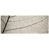 MySPOTTI Badrückwand »Struktur«, BxH:120 cm x 45 cm, weiß