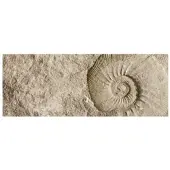 MySPOTTI Badrückwand »Fossil«, BxH:120 cm x 45 cm, beige