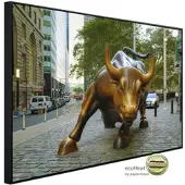 Papermoon Infrarotheizung »EcoHeat - Wall Street Bull«, Matt-Effekt - bunt