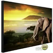 Papermoon Infrarotheizung »EcoHeat - Elefant von Kilimanjaro«, Matt-Effekt - bunt