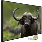 Papermoon Infrarotheizung »EcoHeat - Afrikanischer Büffel«, Matt-Effekt - bunt