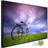 Papermoon Infrarotheizung »EcoHeat - Fahrrad in Grünland«, Matt-Effekt - bunt