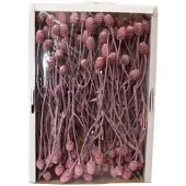 Flowerbox Trockenblumen - rosa