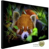 Papermoon Infrarotheizung »EcoHeat - Rotes Panda«, Matt-Effekt - bunt