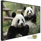 Papermoon Infrarotheizung »EcoHeat - Riesige Pandas«, Matt-Effekt - bunt