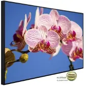 Papermoon Infrarotheizung »EcoHeat - Rosa Phalaenopsis Orchidee«, Matt-Effekt - bunt