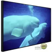 Papermoon Infrarotheizung »EcoHeat - Beluga Wale«, Matt-Effekt - bunt
