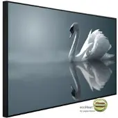 Papermoon Infrarotheizung »EcoHeat - Schwan im Wasser«, Matt-Effekt - bunt