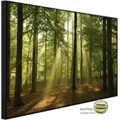 Papermoon Infrarotheizung »EcoHeat - Wald am Morgen«, Matt-Effekt - bunt