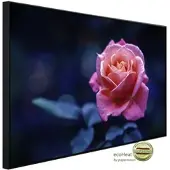 Papermoon Infrarotheizung »EcoHeat - Rose«, Matt-Effekt - bunt