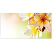 MySPOTTI Badrückwand »Hawaii«, BxH:90 cm x 45 cm, orange