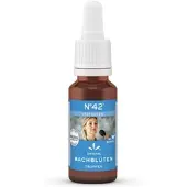 Hager Pharma GmbH Bachblüten Nr 42 Vertrauen Tropfen 20 ML
