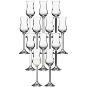 Leonardo Schnapsglas "Grappaglas Daily 100 ml 12er Set transparent"