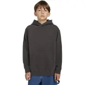 Element Hoodie "Lowcase Pigment"