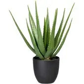 Creativ Green Kunstpflanze Aloe Vera, im Topf, Höhe 55 cm