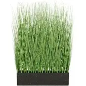 Creativ Green Kunstpflanze Miscanthus Raumteiler, für außen, Höhe 115 cm